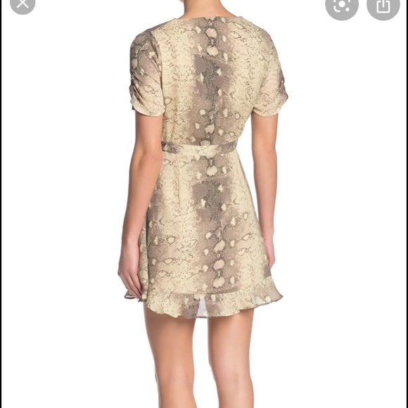 NWT wild honey dress - Picture 7 of 8